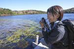 　北八ケ岳・白駒の池の水面が揺れる。野川かさねは、その「浮遊感」に心を引かれる＝２０２４年１０月、長野県（撮影・林昌三）