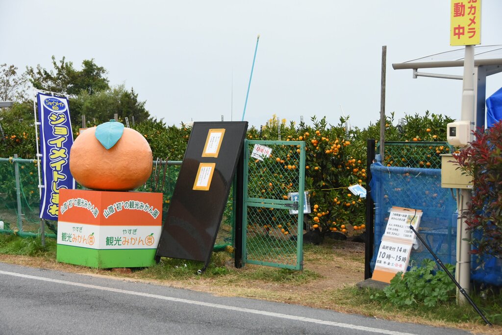 
大きなみかんが入り口の目印☆

 
