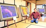 夜桜を擬人化して捉えた作品と五島さん