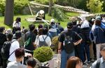 　ジャイアントパンダ「結浜」を見るため訪れた大勢の観光客＝３日午後、和歌山県白浜町のアドベンチャーワールド