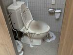 　能登半島地震の被災地の公衆トイレ（日本トイレ研究所提供、画像の一部を加工しています）