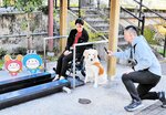 介助犬「アリシア」をモデルに撮影する北沢理事長（右）＝２１日、新温泉町湯