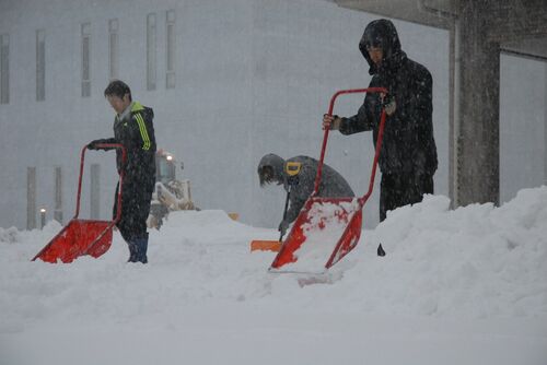 境港市保健相談センター前を除雪する職員ら＝24日午前８時８分、境港市上道町