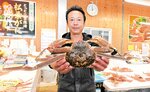 【高級ブランド】
鳥取港の初競りで２８０万円の値が付いた五輝星（いつきぼし）（鳥取市のかねまさ・浜下商店）