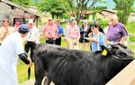 但馬牛の特徴について説明を受けるオーストラリアからのツアー客＝２７日、新温泉町丹土の県立但馬牧場公園