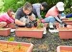 ドウダンツツジの苗木を丁寧にプランターに植える地元住民＝１５日、智頭町大背の那岐地区公民館