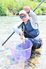 友釣りでアユを釣り上げた釣り人＝１日、新温泉町戸田の岸田川