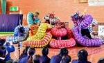 大勢の来場者を前に神楽を披露する米子養護学校の生徒ら