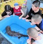 興味深そうにオオサンショウウオをのぞき込む子どもたち