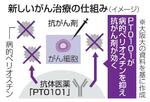 　新しいがん治療の仕組み（イメージ）