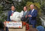 　２０日、ホワイトハウスで開かれた「七面鳥恩赦式」に出席するバイデン米大統領（右）（共同）