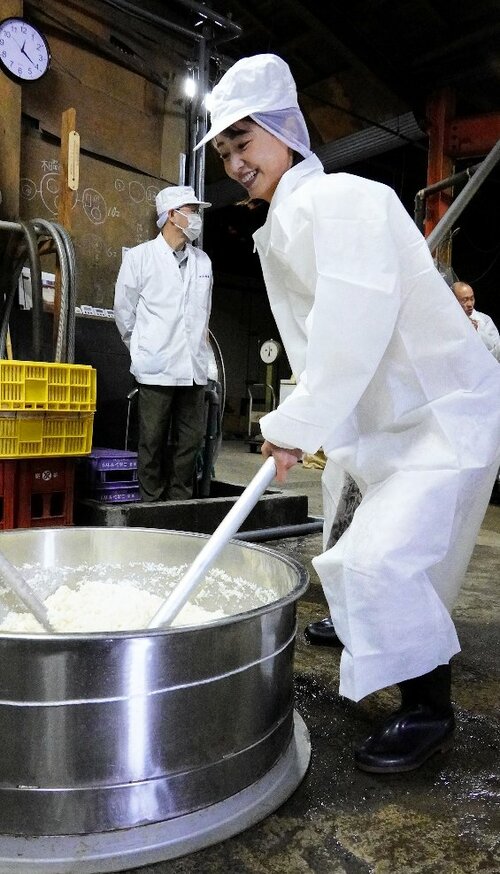 昔ながらの「酛すり」を体験する吉川さん＝５日、鳥取市立川町２丁目の中川酒造