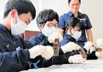 署員の説明を受けて小瓶についた指紋を採取する生徒たち＝３日、香美町香住区境の香住海上保安署