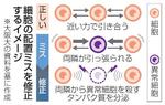 　細胞の配置ミスを修正するイメージ