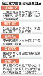　自民党の主な衆院選空白区