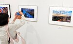 お気に入りの作品をカメラに収める来場者＝３日、米子市美術館