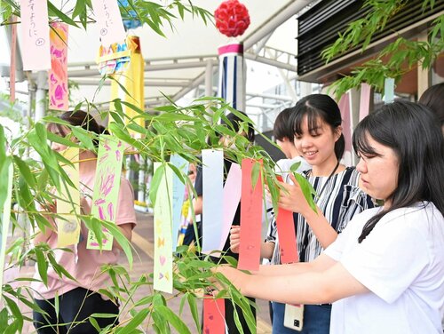 色鮮やかな短冊をササに飾り付ける学生ら＝２５日、ＪＲ倉吉駅