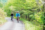 池を囲む散策コースでは野鳥の観察もできる