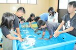 サメの背をなでる子どもたち