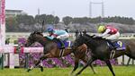　第８５回桜花賞でゴールする１着のエンブロイダリー（左）と２着のアルマヴェローチェ＝阪神競馬場