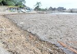 大量の流木で覆われた下浜漁港＝１７日、香美町香住区下浜