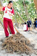 熊手を使って松葉をかき集める生徒＝４日、新温泉町芦屋