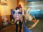 大きなタカアシガニを見る親子＝２０１４年１２月２７日、鳥取市賀露町西３丁目